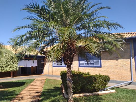 20220514_110324 - Cópia - Cópia